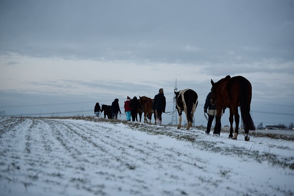 pferdesport/29.01.2019-winterfreuden/reiten-01.2019_00098.jpg