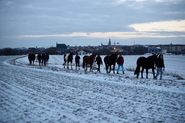 pferdesport/29.01.2019-winterfreuden/reiten-01.2019_00101.jpg