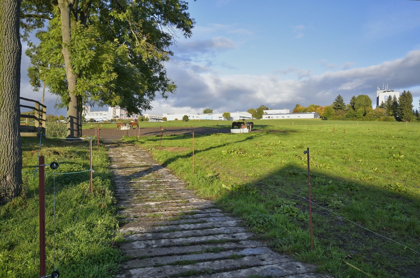 pferdesport/reitanlage/wirtschaftsweg-und-nachtkoppel.jpg