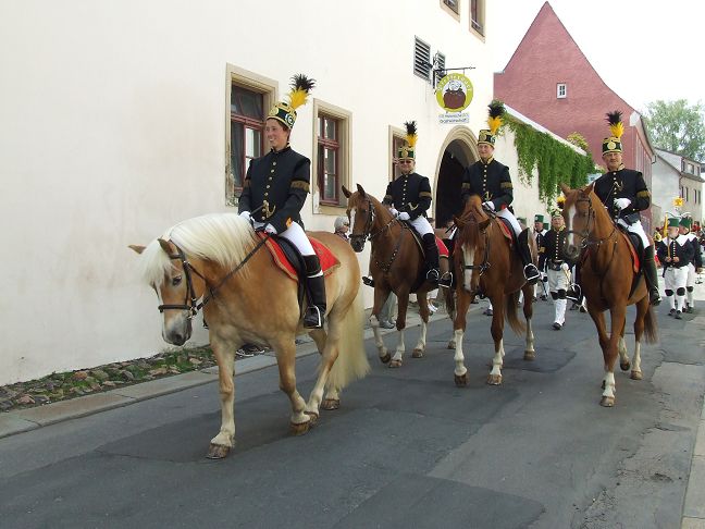 pferdesport/titelseite/k-bergparade-brennhausgasse.jpg