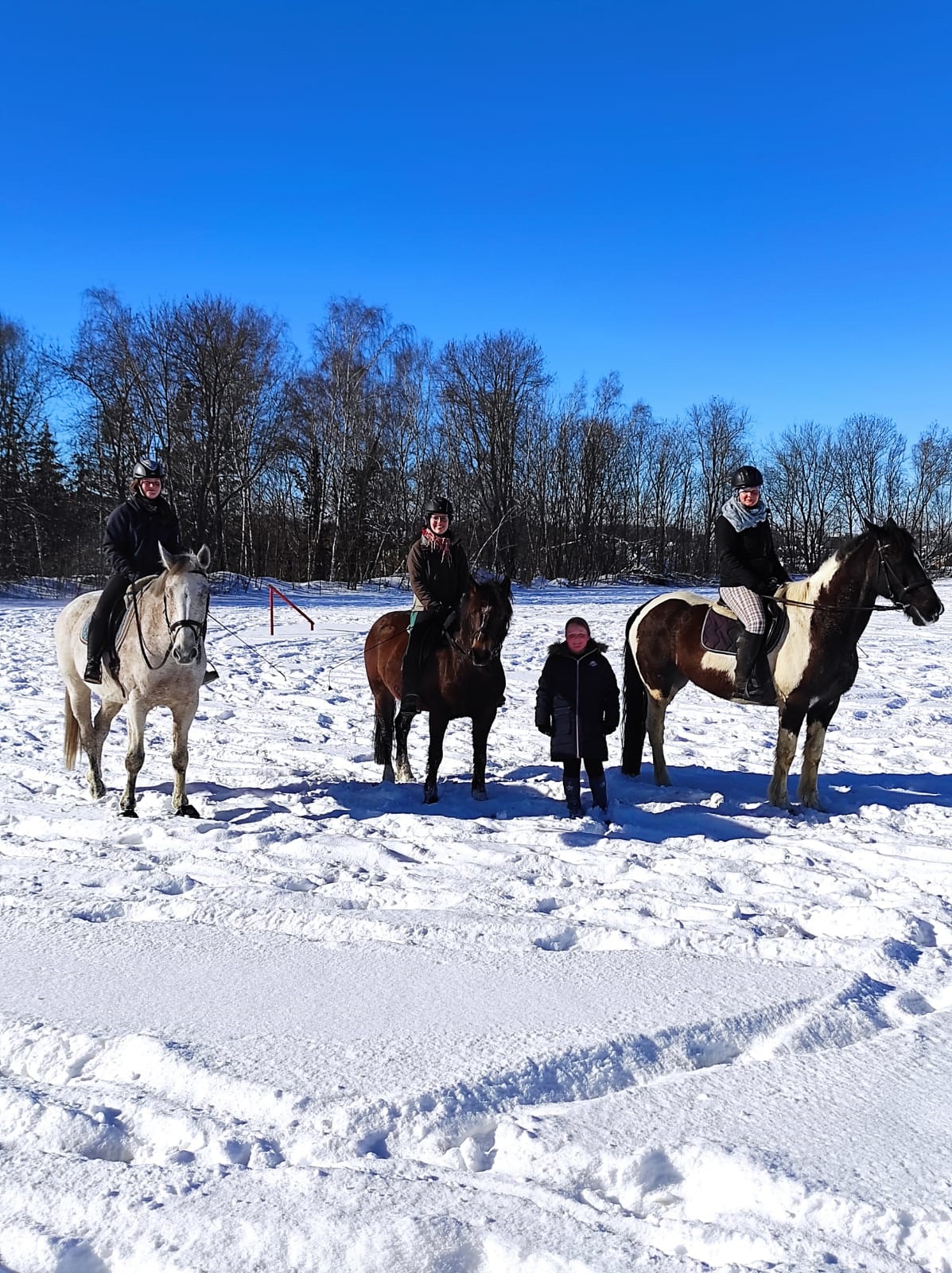 pferdesport/titelseite/unterricht-im-winter.jpg